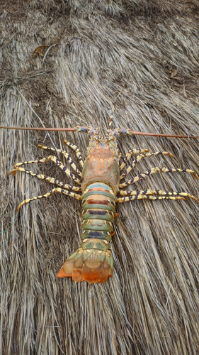 IMG 20220215 150345.jpg