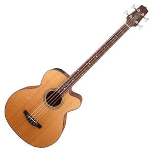 Takamine GB30CE 300x300.jpg