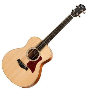 Taylor GS Mini­e R 300x300.jpg