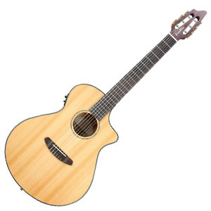 Breedlove Pursuit Nylon 300x300.jpg