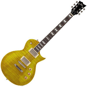 ESP LTD EC 256FM 300x300.jpg