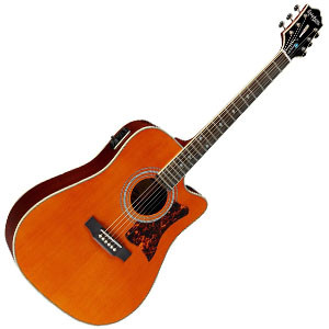 Epiphone Masterbilt DR 500MCE 300x300.jpg