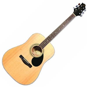 Samick GD100S 300x300.jpg