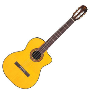 Takamine TC132SC 300x300.jpg