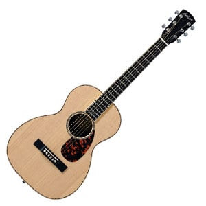 Larrivee P 03 Parlor Acoustic Guitar001 300x300.jpg