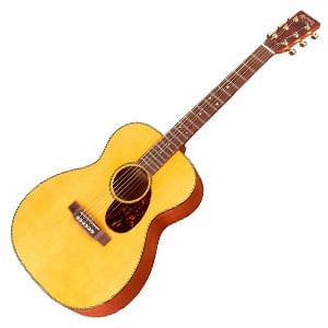 Martin SWOMGT 300x300.jpg