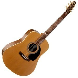 Seagull Artist Mosaic1 e1426937536686.jpg