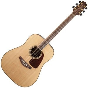 Takamine GD93 300x300.jpg