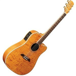 Alvarez FD601 e1426937528298.jpg