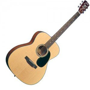 Blueridge BR 43 300x300.jpg