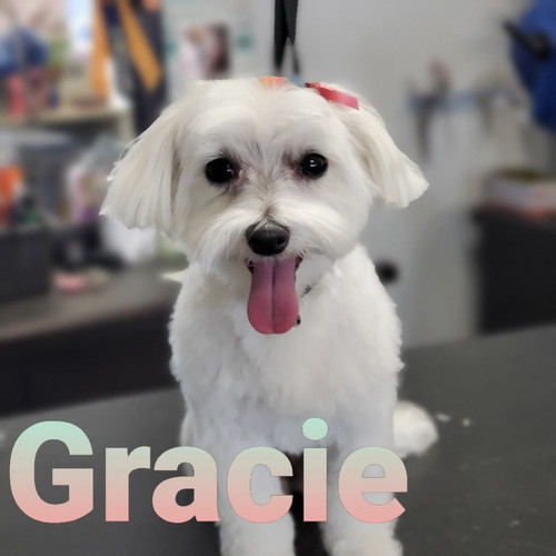 smoochworthy sweeties Fort Wayne IN.jpg