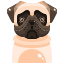 dog3.png