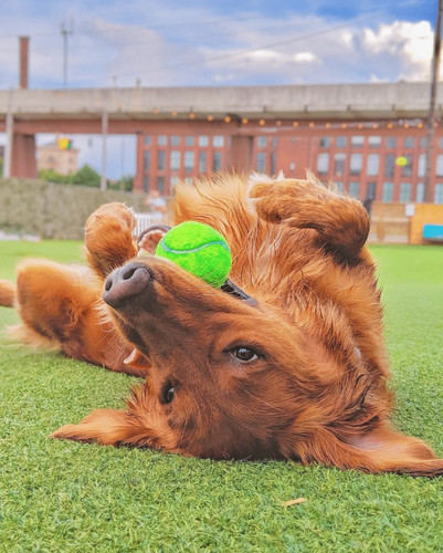 156847363 3802665783110300 2945393159865199294 n.jpg