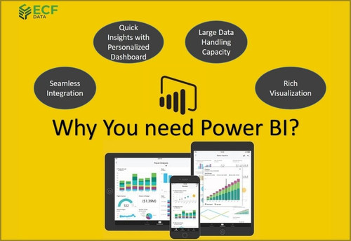 Everything you Need to Know About Power BI.jpg