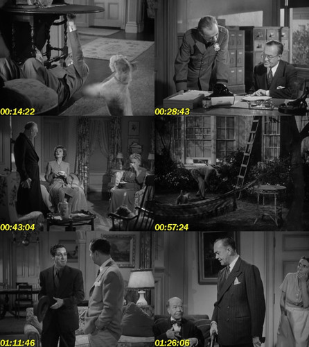 El regreso de aquel hombre