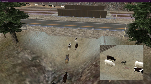 improved cattle underpass.jpg