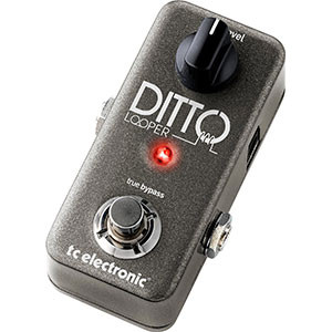 TC Electronic Guitar Ditto 300x300.jpg
