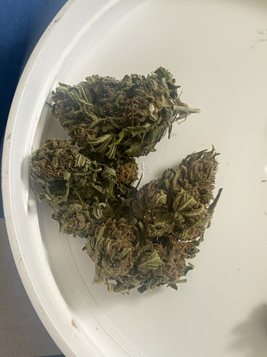 86C21E5C 64C8 445F A2EC 8EF8E8901357.jpg