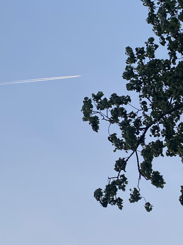 20204073 9351 4150 8485 2335A3E2AA61.jpg