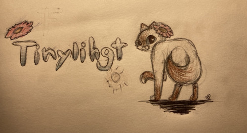 3F635BA5 033D 4B40 8E4E A5655AA49D14.jpg