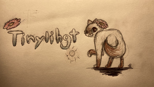 C408BC2C 8B11 48BD AD4C 58EFCC10C497.jpg