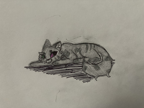 34A9E565 278D 4714 BFB3 B0A1068B39E8.jpg