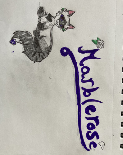 3D048CF2 6A3B 4A94 A429 EA0885598AC9.jpg