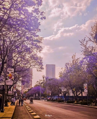 277561845 285814897035879 4317370253207008560 n.jpg