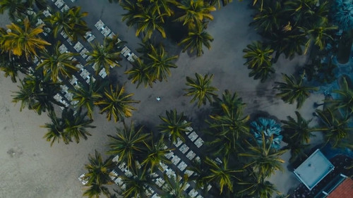 277317932 343160694521723 815518538252175733 n.jpg