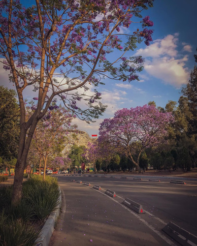 277537253 495844632025756 8503558038666444089 n.jpg