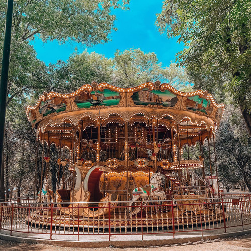 277834602 368773388312688 3915419669972039414 n.jpg