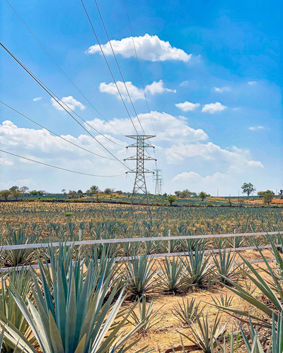 278114400 1189247121613556 7424868596139270467 n.jpg