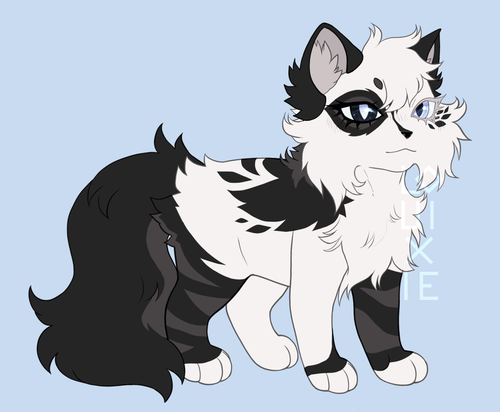 41456901 haPzkZHpLPpFeka