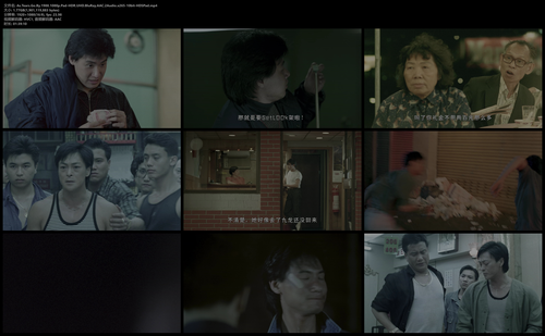 As.Tears.Go.By.1988.1080p.Pad HDR.UHD.BluRay.AAC.2Audio.x265 10bit HDSPad.mp4.png