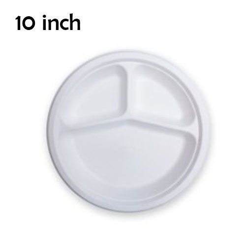 10 inch eco friendly bagasse disposable plate 500x500.jpg