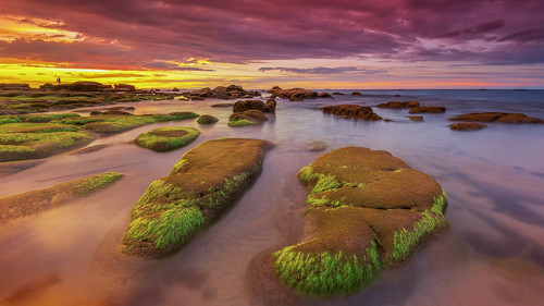 Moss covered rocks at sunset, Sabah Beach, Borneo, Malaysia 1080p.jpg