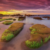 Moss covered rocks at sunset, Sabah Beach, Borneo, Malaysia 1080p