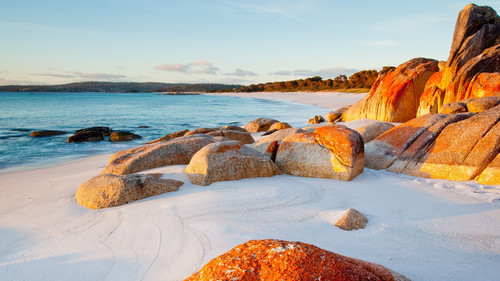 Red lichen covered rocks on beach, Bay of Fires, Tasmania, Australia 1080p