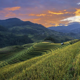 Rice fields on terraces of Mù Cang Chải, Yên Bái, Vietnam 1080p