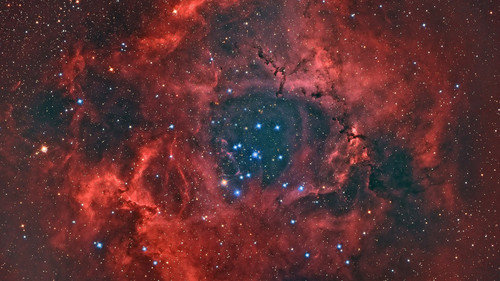 Rosette nebula NGC 2237 aka Caldwell 49, Monoceros region, Milky Way 1080p.jpg