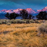 Flowing grasses with sunrise on Mount Tom and Basin Mountain, Bishop, California, USA 1080p