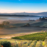 Lonely Tree, Val d&#039;Orcia, Tuscany, Italy 1080p