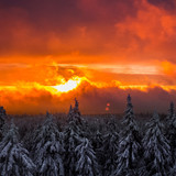 Cold morning light, near Wunsiedel, Germany 1080p