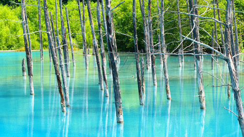 Blue pond, Furano, Kamikawa Subprefecture, Hokkaido, Japan 1080p.jpg