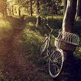 Today I walk, bicycle abandoned in forest, Brunswick, Germany 1080p