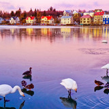 View of the Tjornin Lake in Reykjavik at dawn in winter, Iceland 1080p