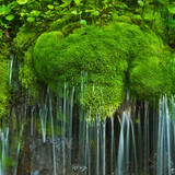 Waterfall and moss, Shenandoah National Park, Virginia, USA 1080p