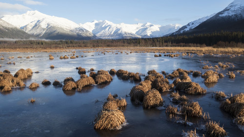 Early winter scenic view of frozen marshland near Girdwood, Turnagain Arm, Alaska 1080p