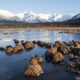 Early winter scenic view of frozen marshland near Girdwood, Turnagain Arm, Alaska 1080p
