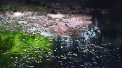 The.Garden.of.Words.2013.BluRay.REMUX.1080p.AVC.DTS HD.MA5.1 HDS.mkv 20220520 092948.197.jpg